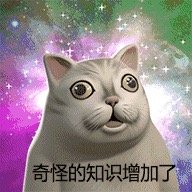 奇怪的知识增加了!